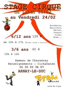 affiche stage cirka fev 2017