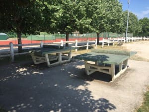 ping pong