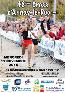 Cross d'arnay 21230 arnay-le-duc