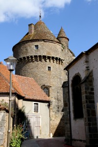 motte forte arnay 8
