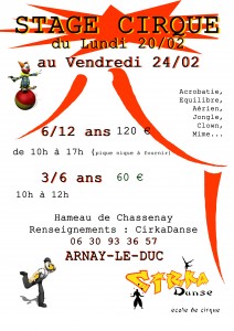 affiche stage cirka fev 2017